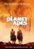 poster for the movie Planet of the Apes