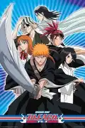 poster for the movie Bleach