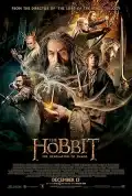 poster for the movie The Hobbit: The Desolation of Smaug