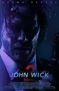 poster for the movie John Wick: Chapter 2